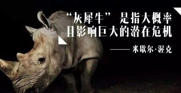 对于灰犀牛这个名词很多人会感到陌生，那么灰犀牛是什么意思？