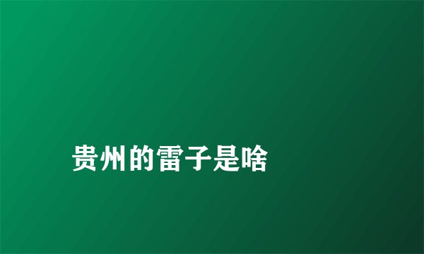 
贵州的雷子是啥

