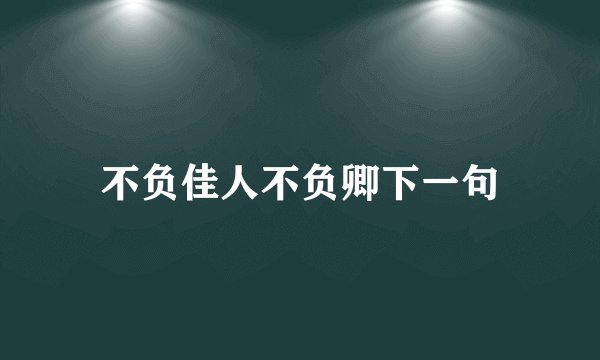 不负佳人不负卿下一句