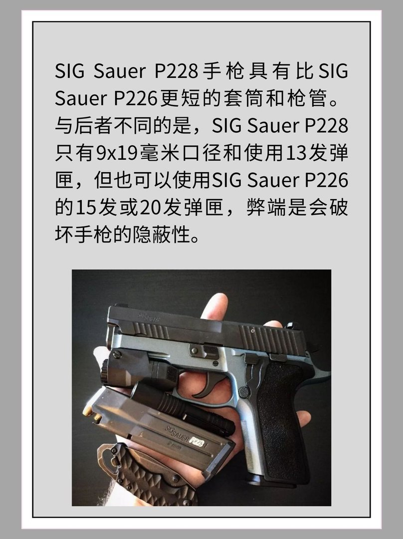 瑞士SIG Sauer P228手枪
