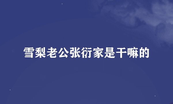 雪梨老公张衍家是干嘛的