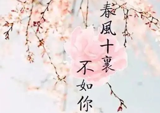 春风十里不如你下一句是什么？
