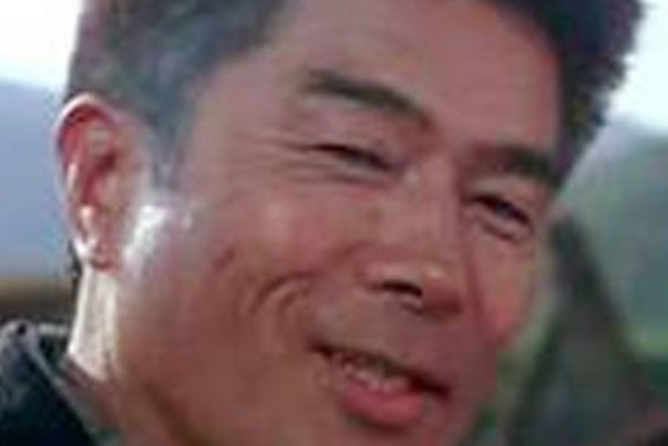 精武英雄 演员表