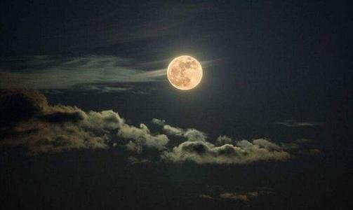 出自哪首诗的故乡月?