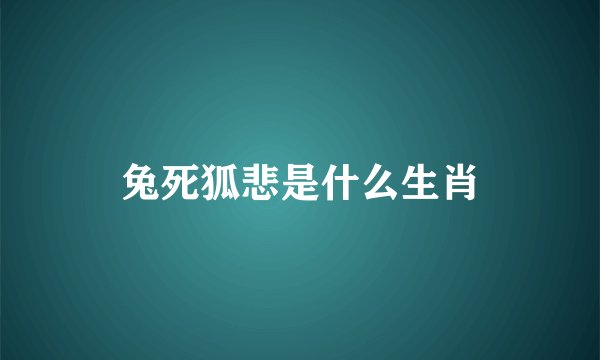 兔死狐悲是什么生肖