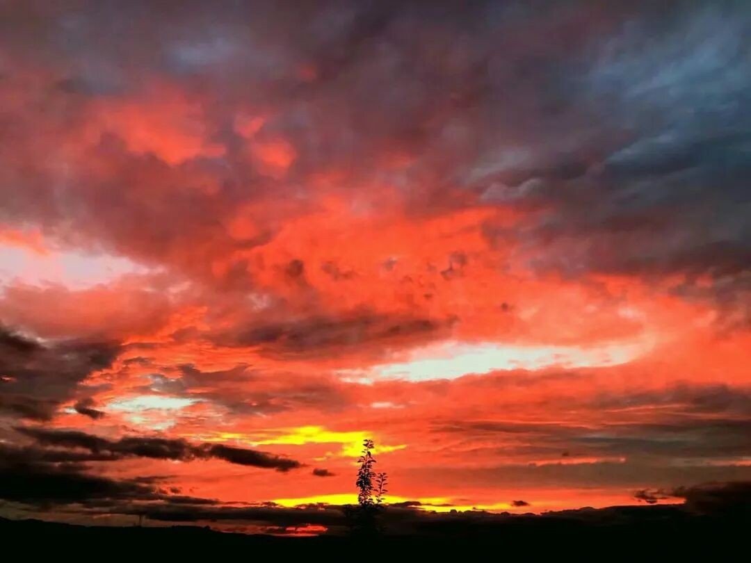 渺渺体育课做引体向上光阴的全部小说