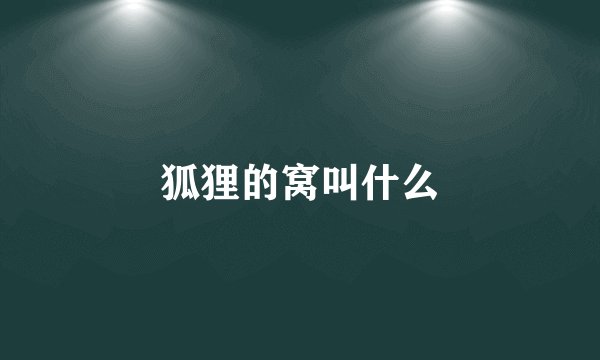 狐狸的窝叫什么