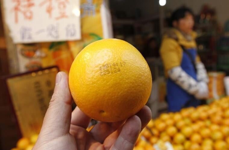 褚时健为什么被判刑当初是谁要整褚时健原因揭秘