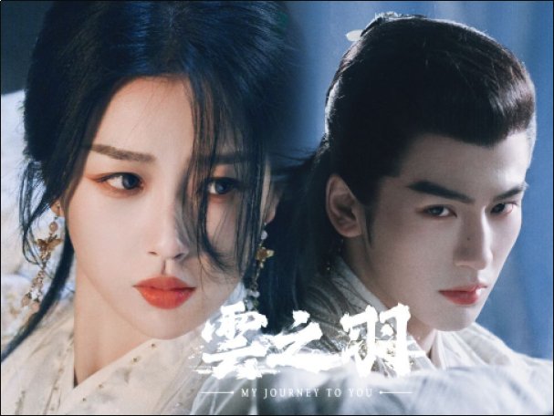 云之羽总共多少集