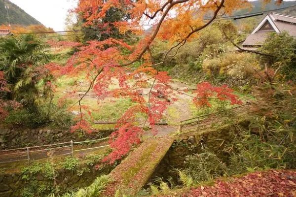 日本一本和二本三区别不卡