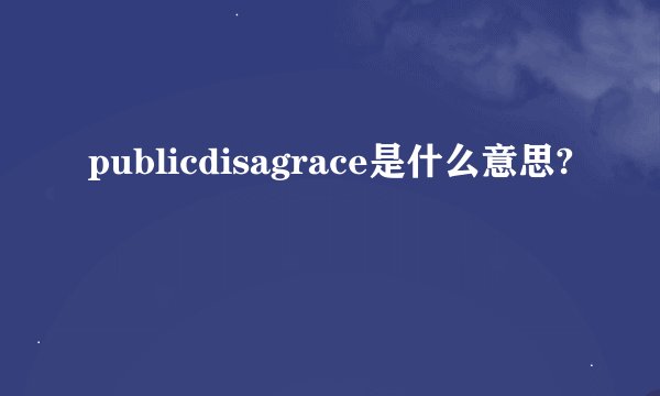 publicdisagrace是什么意思?