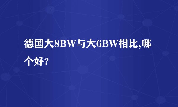 德国大8BW与大6BW相比,哪个好?