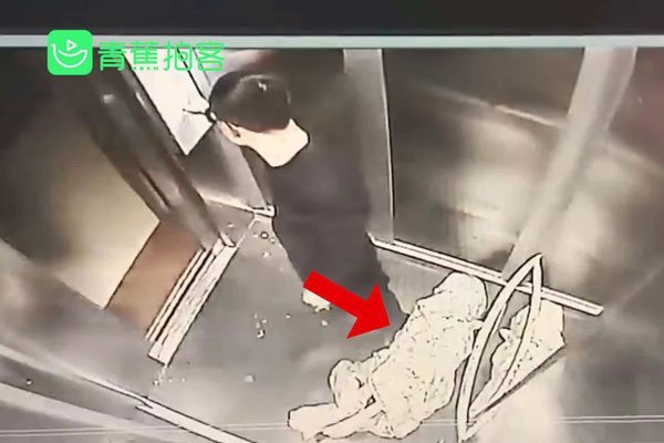 南宁捡死鱼事件怎么回事 被拍还被猥亵实在可怜