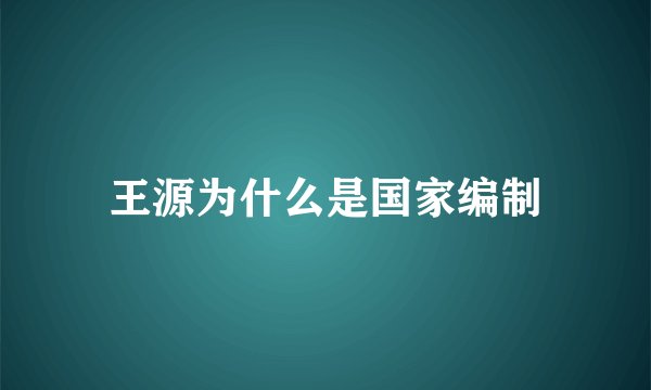 王源为什么是国家编制