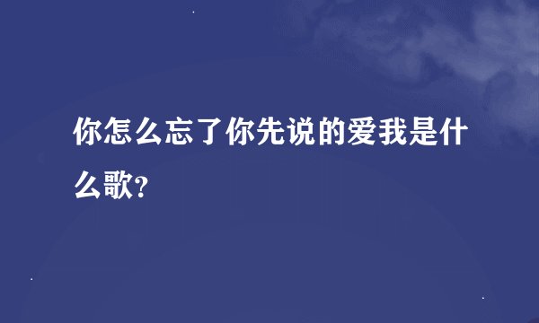 你怎么忘了你先说的爱我是什么歌？