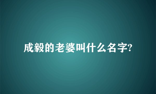成毅的老婆叫什么名字?