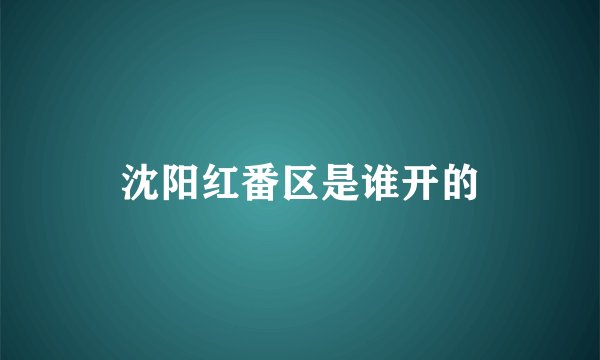 沈阳红番区是谁开的