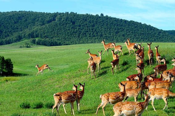 天然造句二年级简单