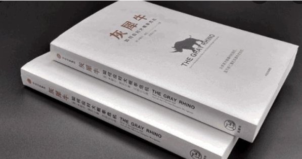 对于灰犀牛这个名词很多人会感到陌生，那么灰犀牛是什么意思？