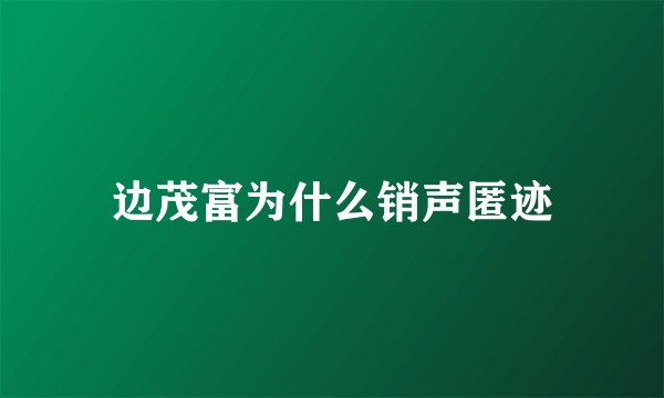 边茂富为什么销声匿迹