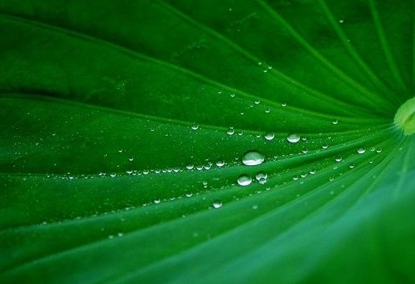 晶莹的什么如何填空？