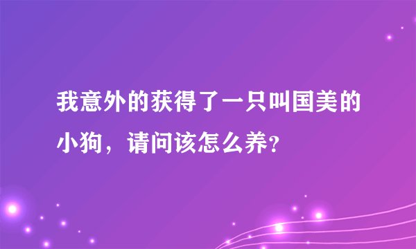 我意外的获得了一只叫国美的小狗，请问该怎么养？