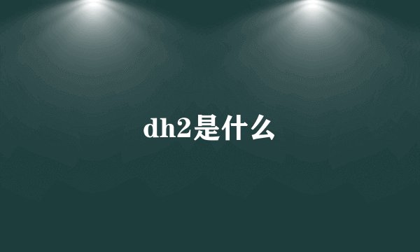 dh2是什么