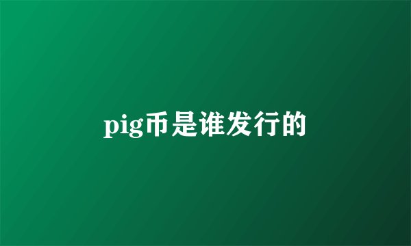 pig币是谁发行的