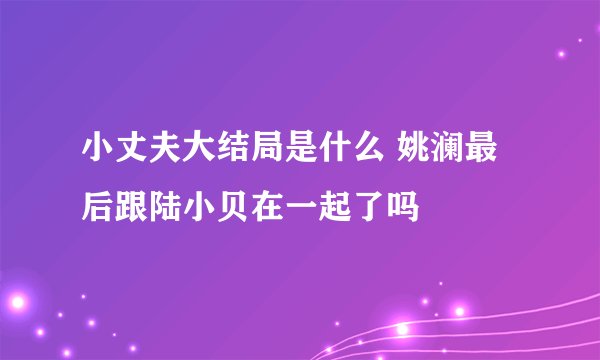 小丈夫大结局是什么 姚澜最后跟陆小贝在一起了吗