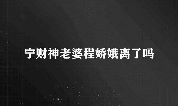 宁财神老婆程娇娥离了吗