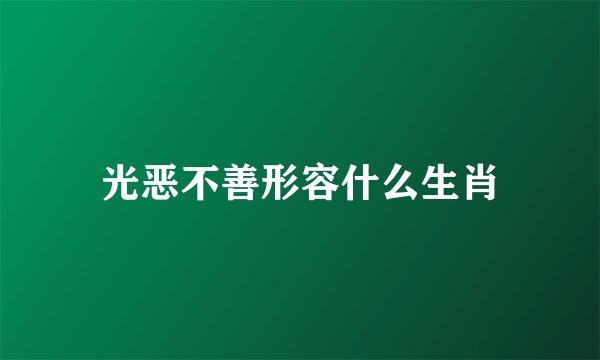 光恶不善形容什么生肖