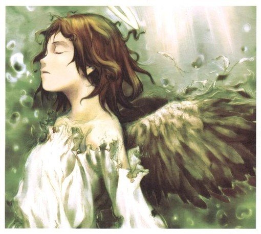 灰羽联盟的角色介绍