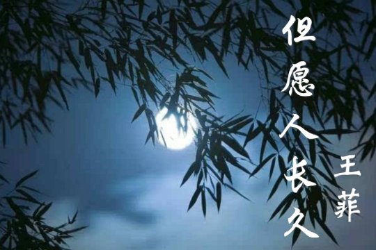 月亮的歌曲有哪些 抖音