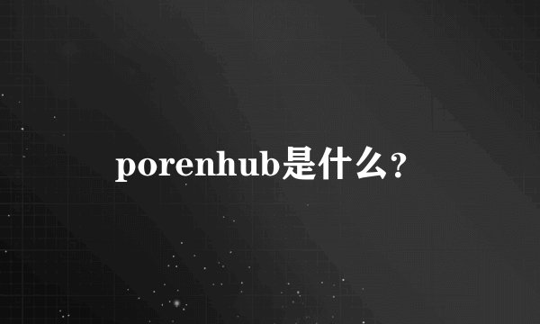porenhub是什么？