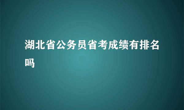 湖北省公务员省考成绩有排名吗