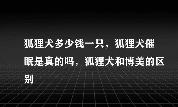 狐狸犬多少钱一只，狐狸犬催眠是真的吗，狐狸犬和博美的区别