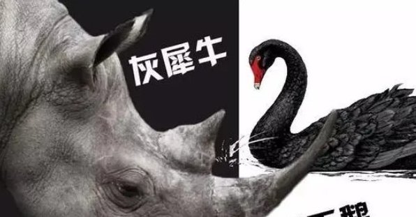 对于灰犀牛这个名词很多人会感到陌生，那么灰犀牛是什么意思？