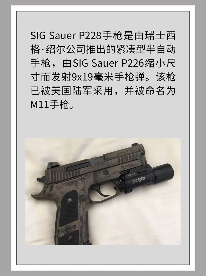 瑞士SIG Sauer P228手枪