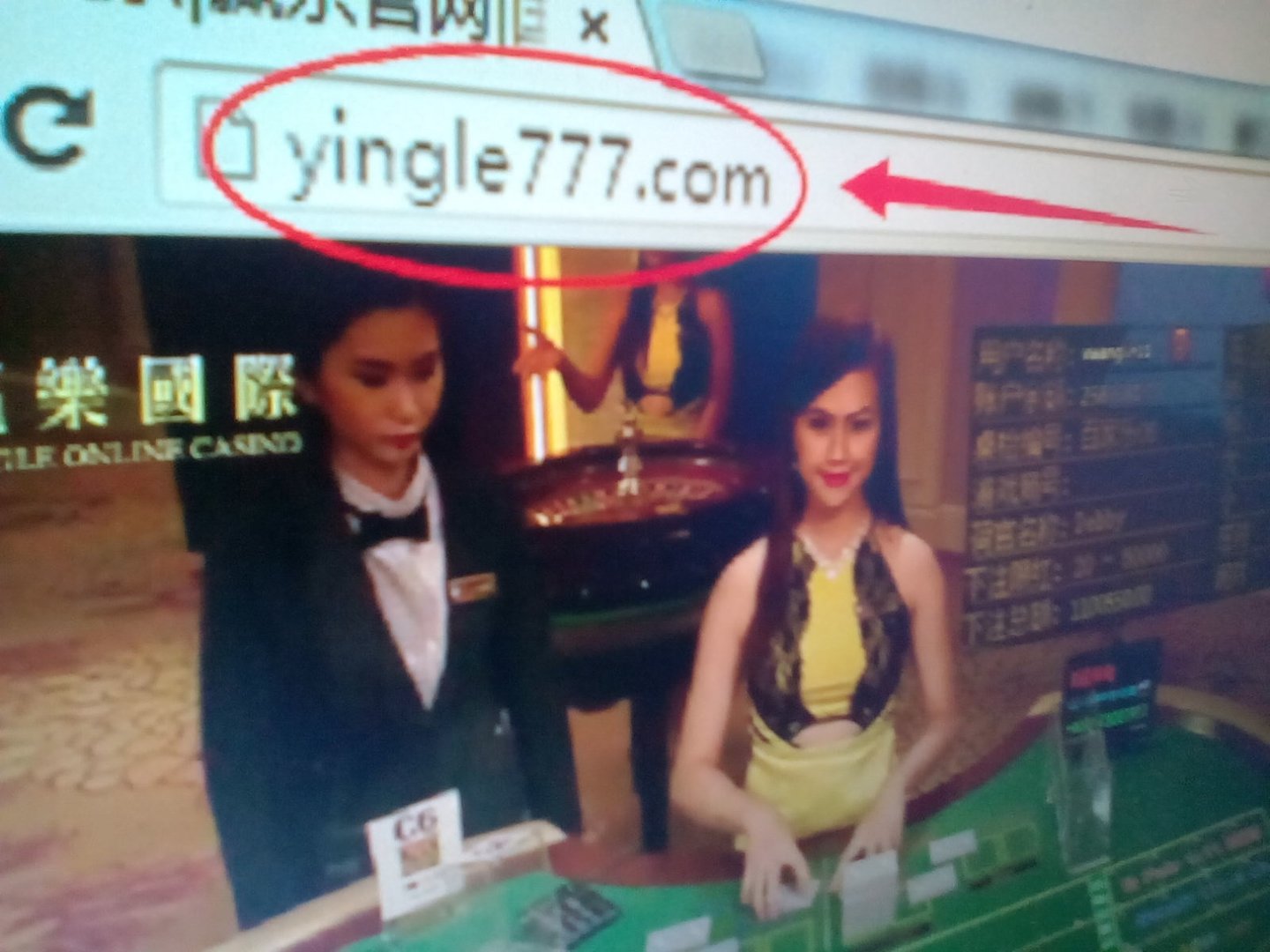 武汉赖子山庄去哪下载，我不会，谁教我啊，要没毒的啊